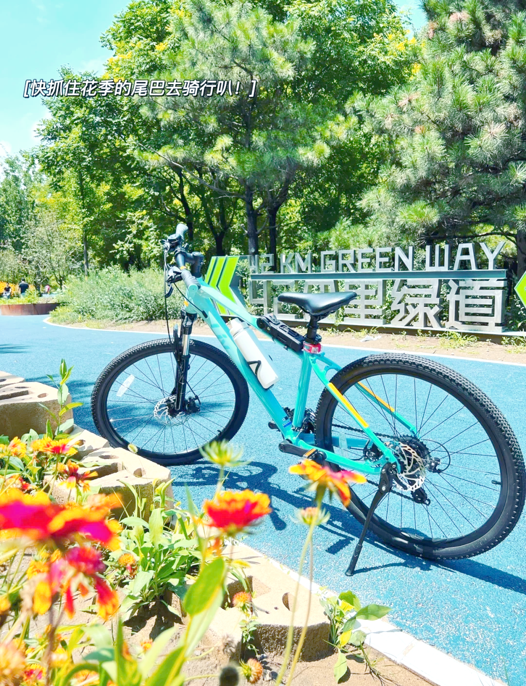 关于城市绿道骑行嘉年华，享受慢节奏的都市运动氛围的信息