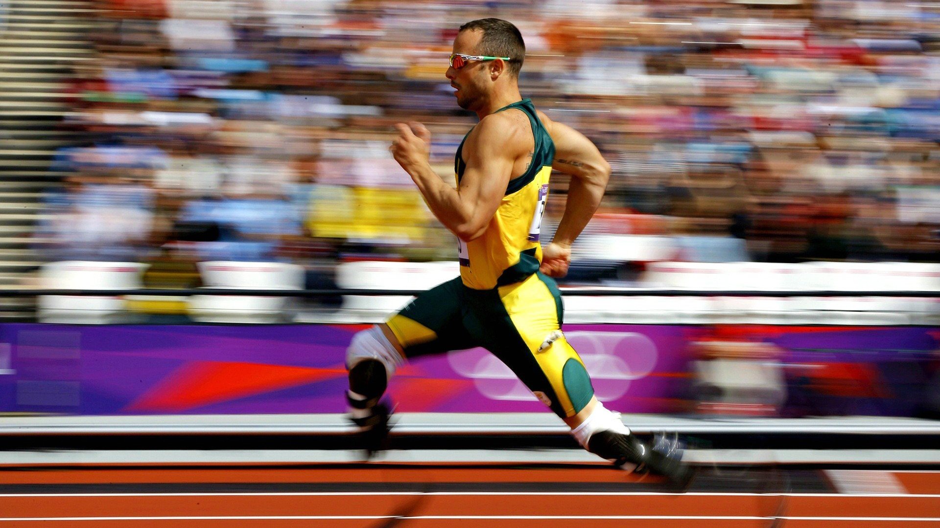 AYX GAMING-波兰队赛制分析：如何通过灵活调整阵容提升比赛表现，波兰队实力分析